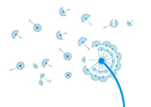 攜手長春網站建設,打造企業專屬的數字化門戶